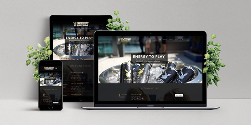 Responsive Website Design
